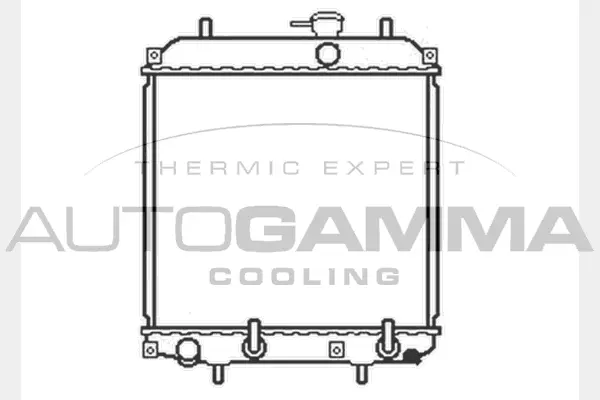 Radiator, engine cooling (104042)