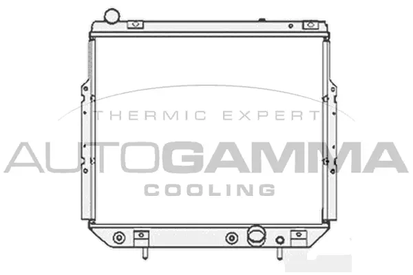 Radiator, engine cooling (103801)