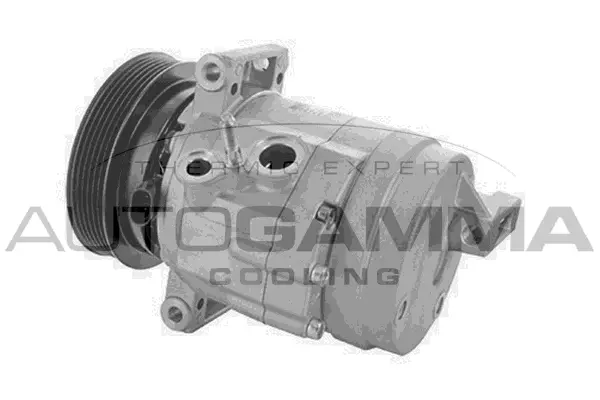 Compressor, air conditioning (118613)