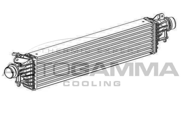 Charge Air Cooler (107547)