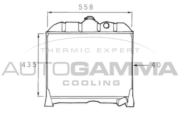 Radiator, engine cooling (400142)