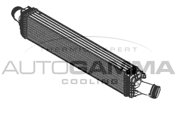 Charge Air Cooler (105210)