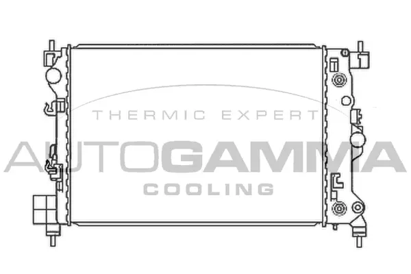 Radiator, engine cooling (107897)