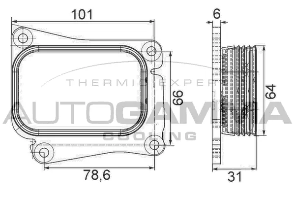 Oil Cooler, engine oil (105849)