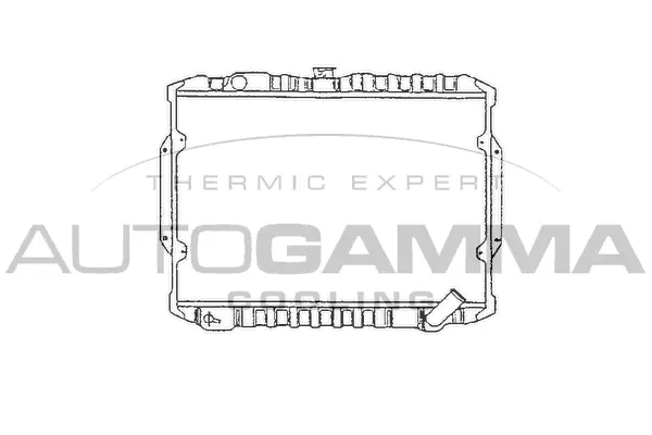 Radiator, engine cooling (100587)