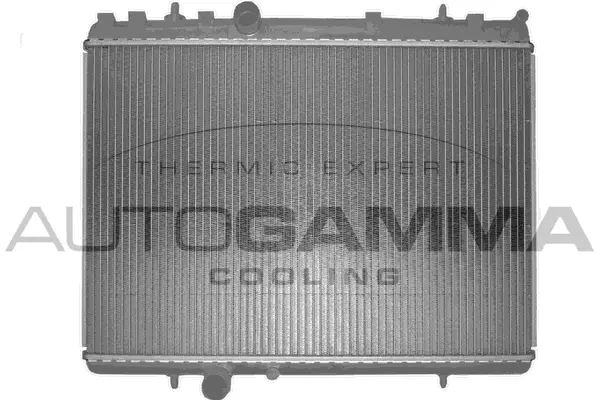 Radiator, engine cooling (103640)