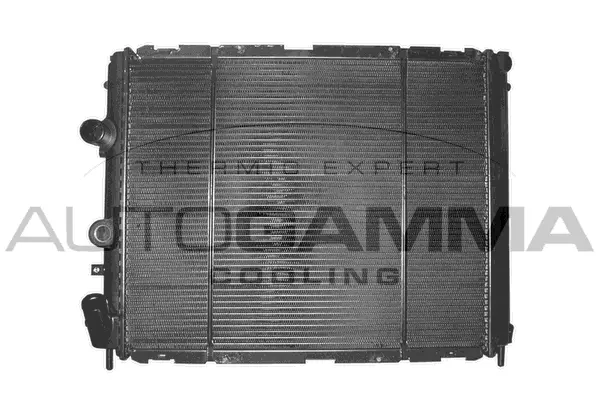 Radiator, engine cooling (101417)