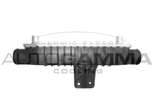 Charge Air Cooler (103663)