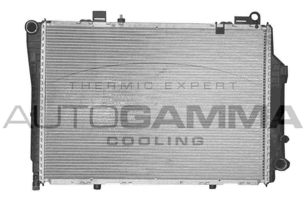 Radiator, engine cooling (102001)