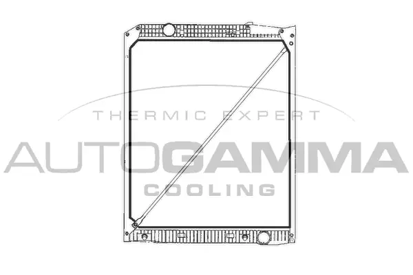 Radiator, engine cooling (400814)
