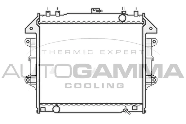 Radiator, engine cooling (107058)