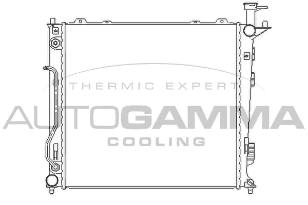 Radiator, engine cooling (107028)