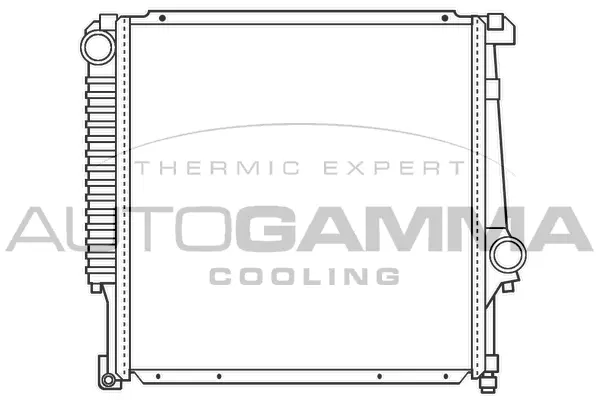 Radiator, engine cooling (100099)