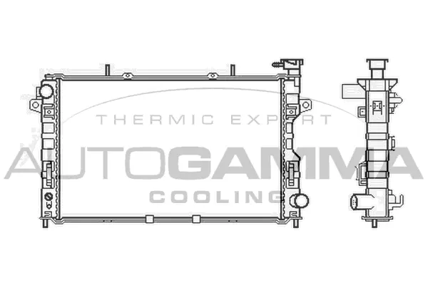 Radiator, engine cooling (105645)