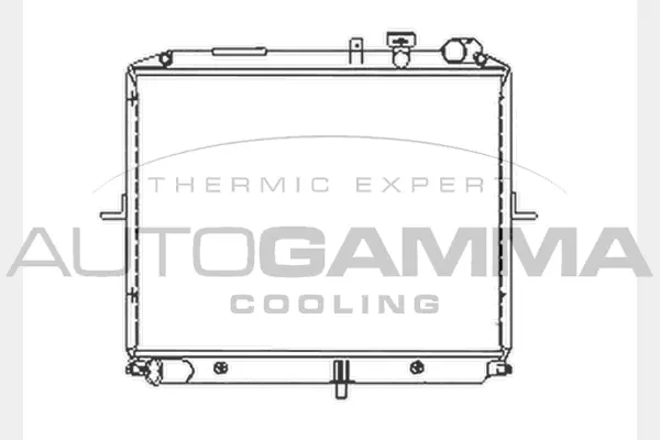Radiator, engine cooling (104032)