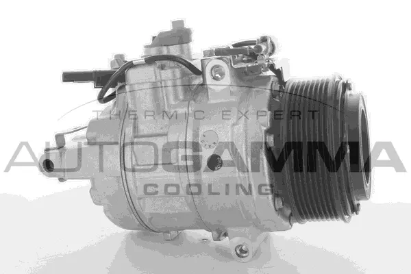 Compressor, air conditioning (118396)