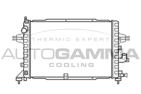 Radiator, engine cooling (104158)