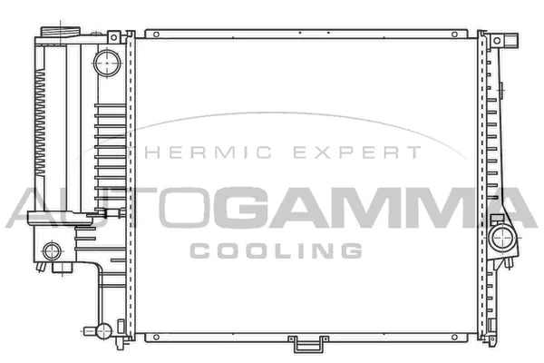 Radiator, engine cooling (100125)