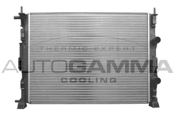 Radiator, engine cooling (103206)