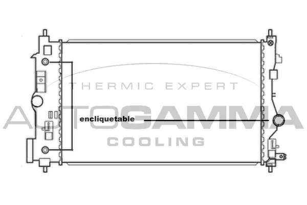 Radiator, engine cooling (105667)