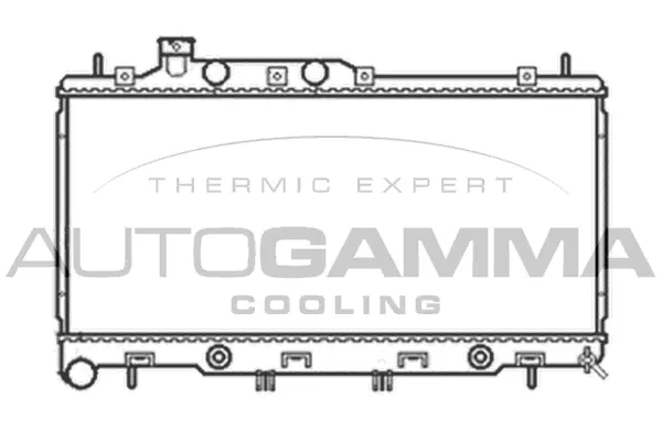 Radiator, engine cooling (105055)