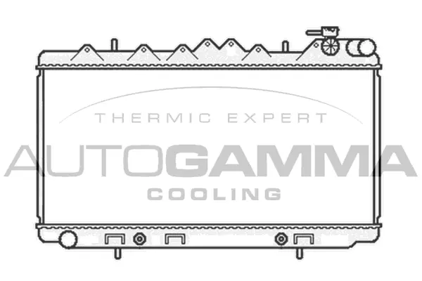 Radiator, engine cooling (104693)