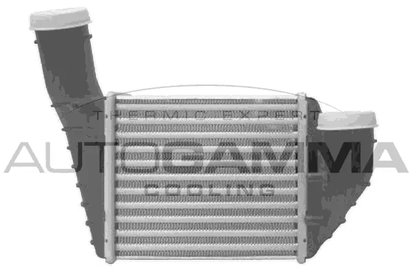 Charge Air Cooler (103735)