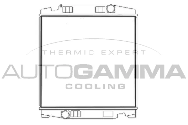 Radiator, engine cooling (404618)
