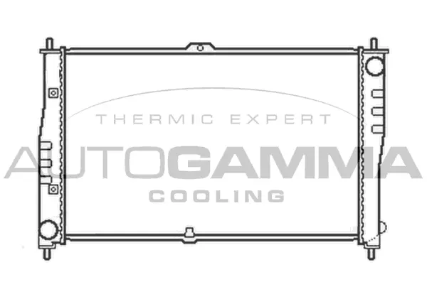 Radiator, engine cooling (103607)