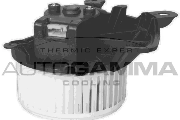Interior Blower (GA20029)