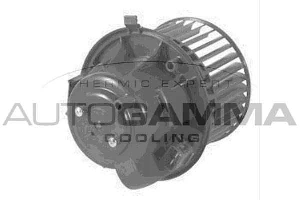 Interior Blower (GA20376)