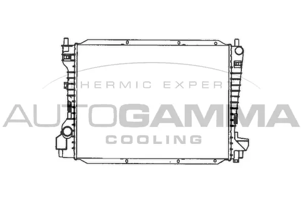 Radiator, engine cooling (103077)