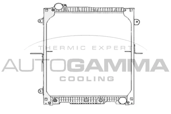 Radiator, engine cooling (404364)