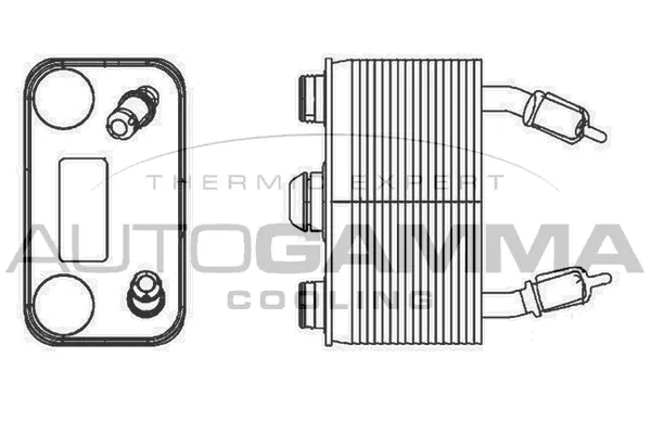 Oil Cooler, engine oil (105815)