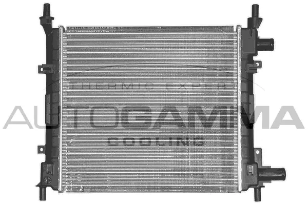 Radiator, engine cooling (101331)
