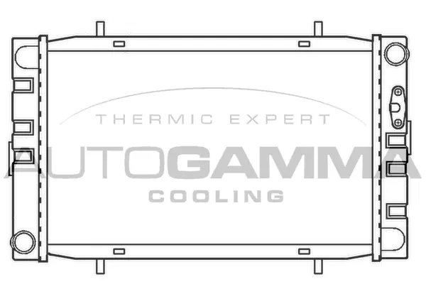 Radiator, engine cooling (100071)