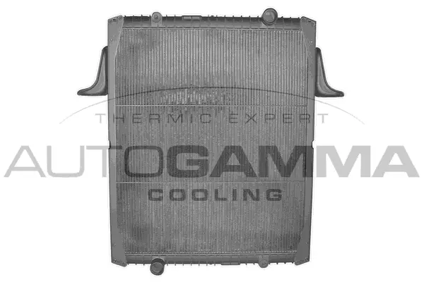 Radiator, engine cooling (401036)