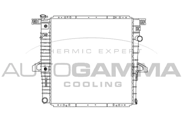 Radiator, engine cooling (103159)