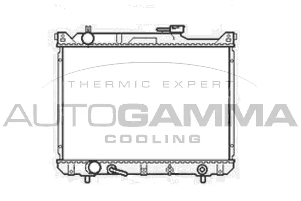 Radiator, engine cooling (104191)