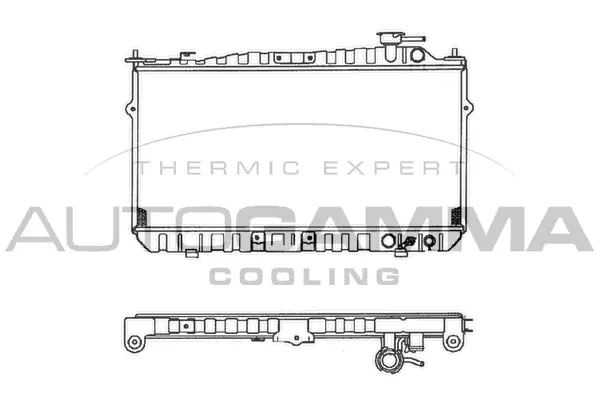 Radiator, engine cooling (102122)
