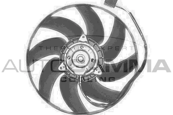 Fan, engine cooling (GA201767)