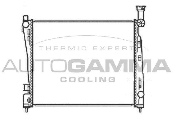 Radiator, engine cooling (107221)