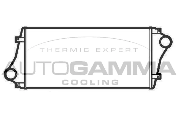 Charge Air Cooler (404972)