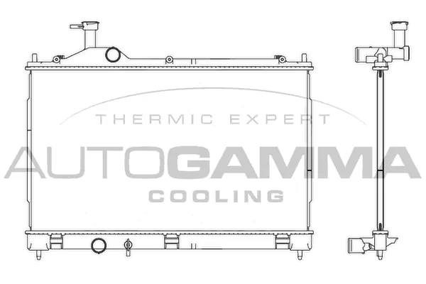 Radiator, engine cooling (107345)