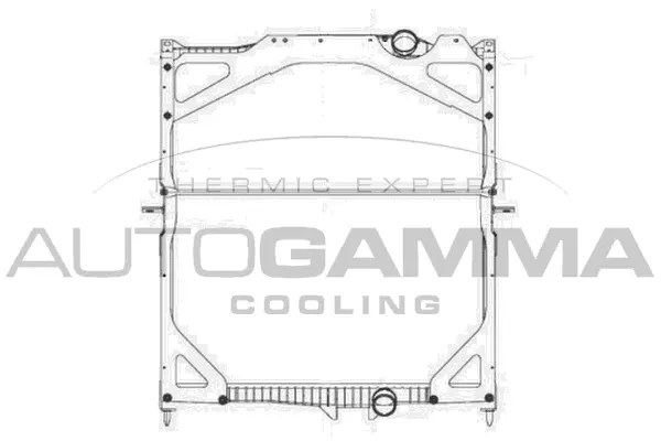 Radiator, engine cooling (404708)