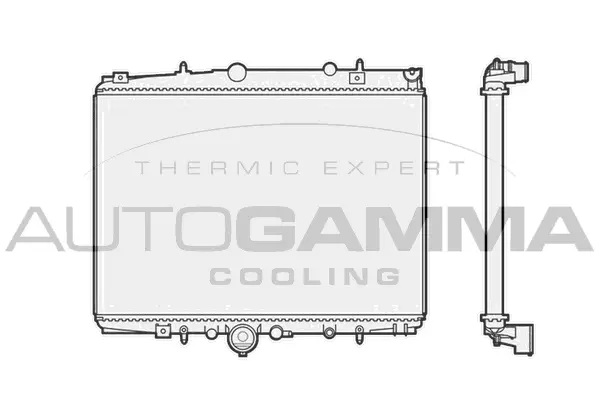 Radiator, engine cooling (102858)