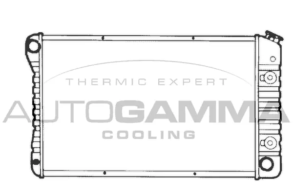 Radiator, engine cooling (101370)