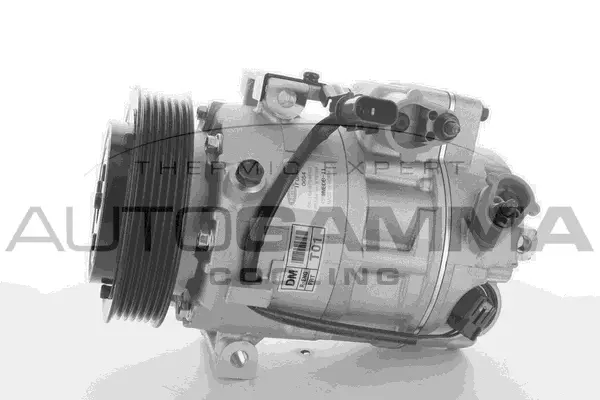 Compressor, air conditioning (118511)