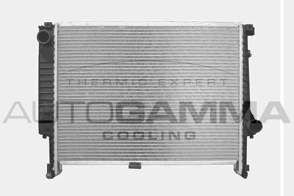 Radiator, engine cooling (101366)