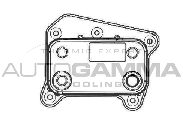 Oil Cooler, engine oil (102511)